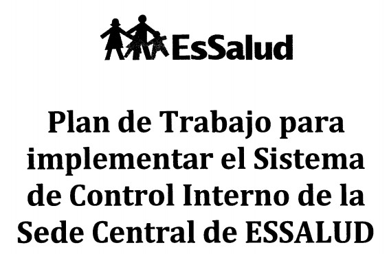 plan trabajo sistema control interno essalud