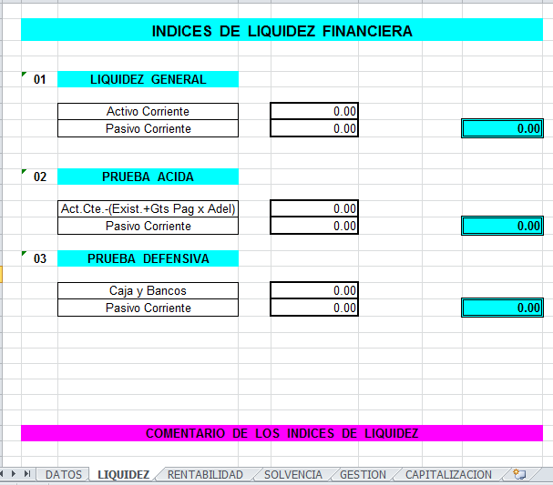 Plantilla excel ratios financieros