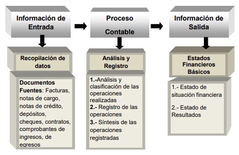 contabilidad basica