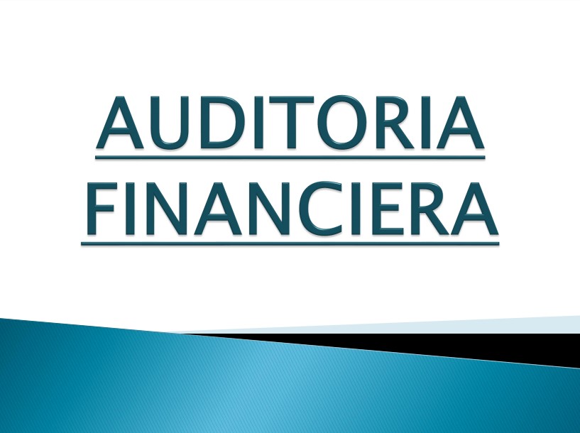 manual auditoria financiera