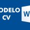 🔰 Modelo CV - Steely