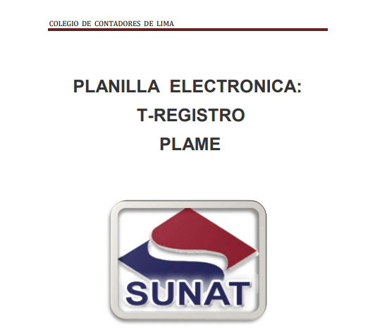 manual planilla electronica t registro plame