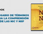 ebook glosario términos comprensión NIIC NIIF