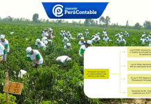 Devolución anticipada del IGV – Régimen Agrario