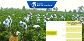 Devolución anticipada del IGV – Régimen Agrario