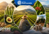 Descubre cómo funciona el sector agrario en el Perú y los retos financieros que enfrenta