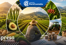 Descubre cómo funciona el sector agrario en el Perú y los retos financieros que enfrenta