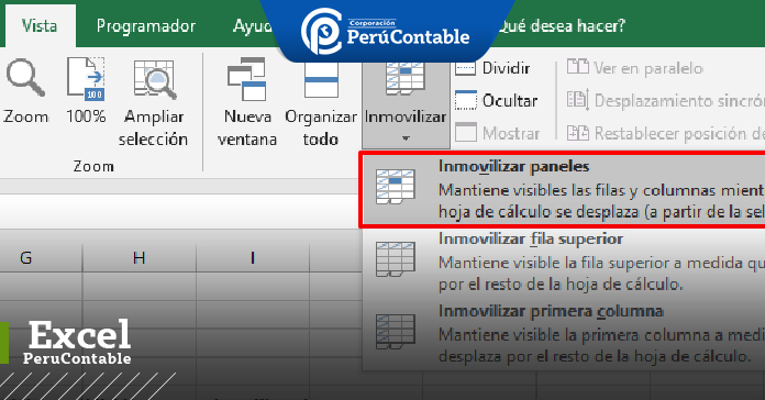 INMOVILIZAR LAS FILAS Y COLUMNAS EN EXCEL