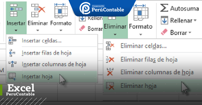 INSERTAR O ELIMINAR UNA HOJA DE CÁLCULO