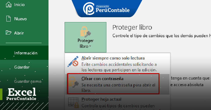 CÓMO PROTEGER LOS LIBROS, LAS HOJAS DE TRABAJO Y LAS CELDAS EN EXCEL