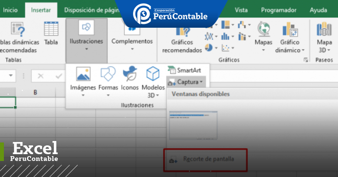 CÓMO TOMAR UNA CAPTURA DE PANTALLA EN EXCEL