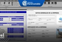 Macro para Carga Masiva de Trabajadores al PDT PLAME MACRO PDT PLAME 4.2