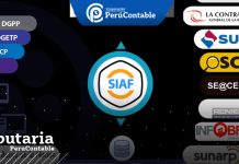 Aspectos Generales del SIAF