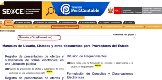 Aspectos Clave del SEACE: Funcionamiento y Beneficios