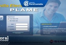 Cómo llenar el PDT PLAME por trabajar en feriados – Caso Práctico