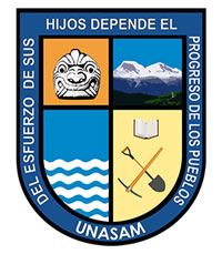 Logo UNASAM