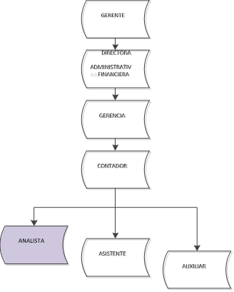 Posición del Analista Contable en la Organización