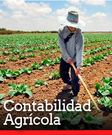 Contabilidad Agrícola