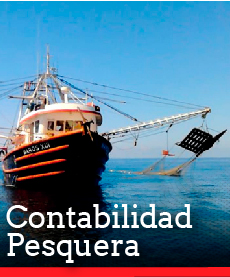 Reapertura de pesca industrial no revertirá la crisis del sector