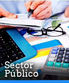 Sector Público